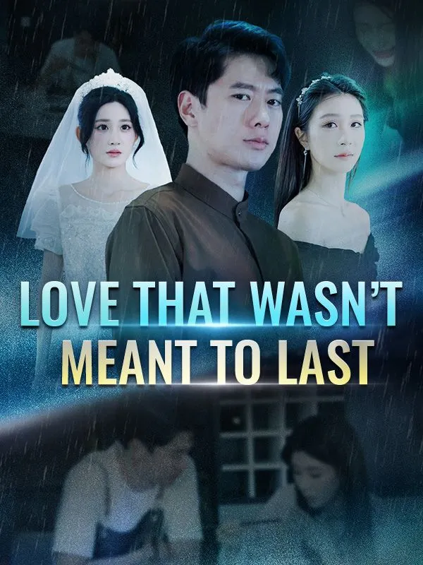 Love That Wasn't Meant to Last DramaBox short drama cover