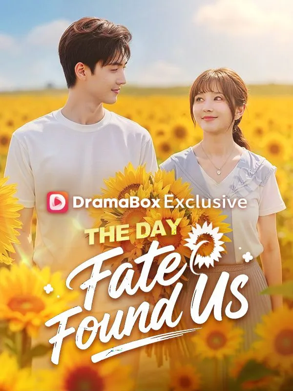 The Day Fate Found Us DramaBox short drama cover