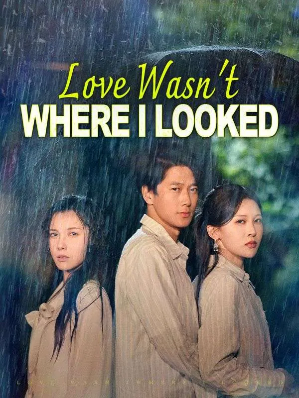 Love Wasn't Where I Looked DramaBox short drama cover